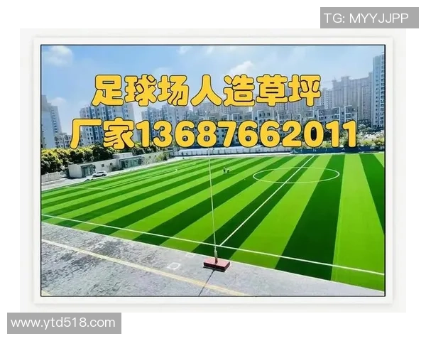 足球草坪的价格及其影响因素分析详解